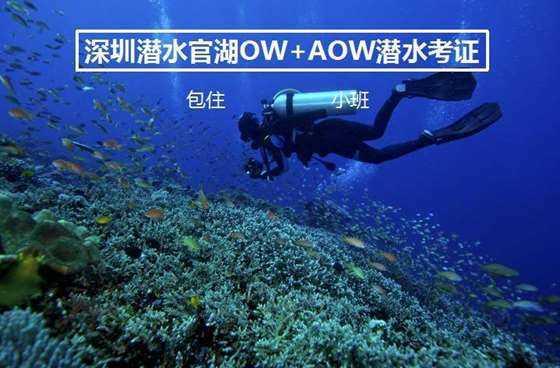 年前我去大舅家借5斤猪肉过春节，打开夹带的旧报纸，母亲落泪了