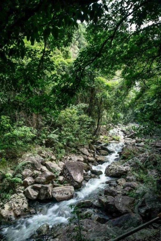 山东潍坊:“泥叫虎”传承非遗